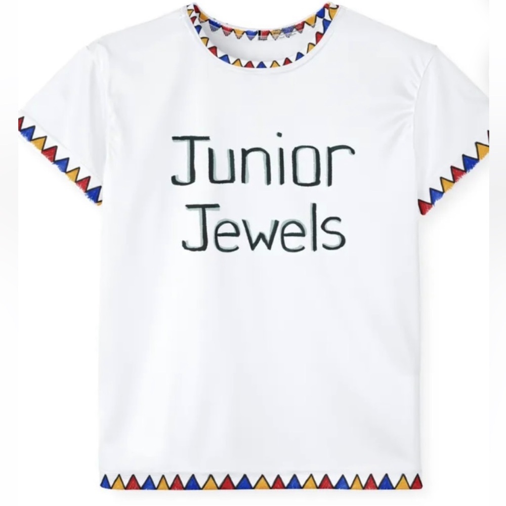 You Belong With Me costume Tshirt from album Fearless